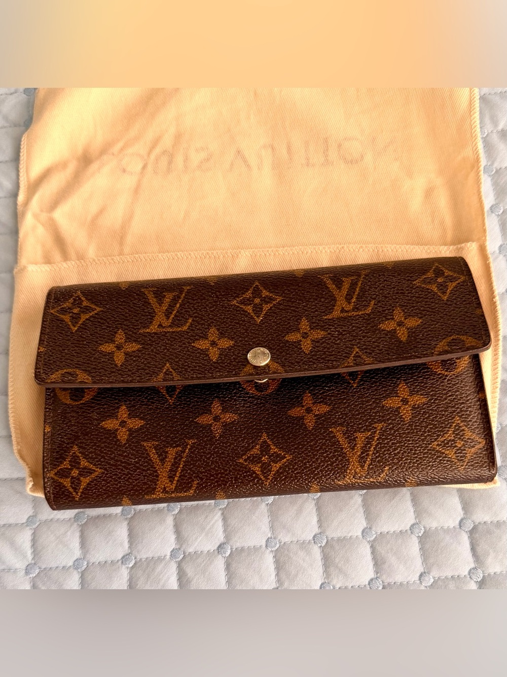 Louis Vuitton Monogram Canvas Envelope Clutch - Brown & Tan